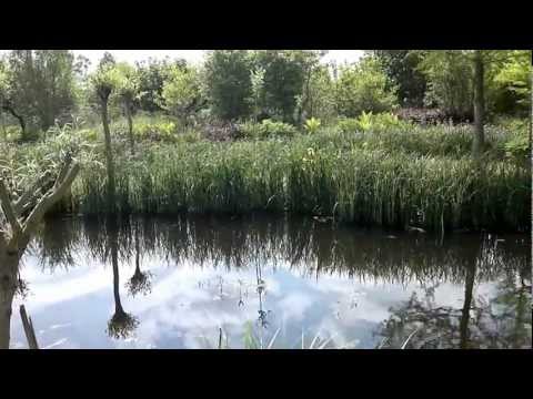 Havikshof De Sier- en Roofvogeltuin in Klarenbeek